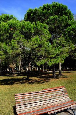 GIARDINI della BIENNALE a Venezia. Foto di Giulio Azzarello &copy;2015 2016.