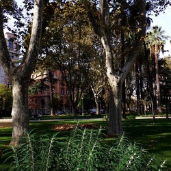 ROMA fotografie di Giulio Azzarello &copy;2022.