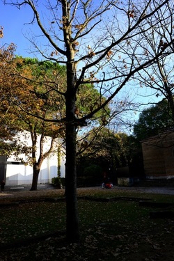 VENEZIA Giardini della Biennale di Arch. Cont.. Fotografie di Giulio Azzarello ©2022.