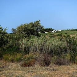 SELINUNTE. Fotografie di Giulio Azzarello ©2022. SELINUNTE. Fotografie di Giulio Azzarello ©2022.