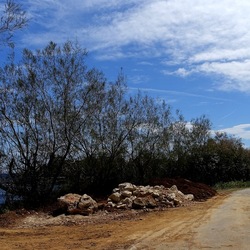 PIANTE. Fotografie di Giulio Azzarello ©2022. PIANTE. Fotografie di Giulio Azzarello ©2022.