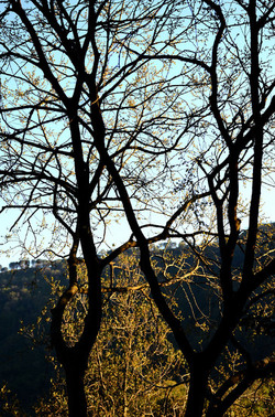 GOLE DELL ALCANTARA in Sicilia. Fotografie di Giulio Azzarello &copy;2016.