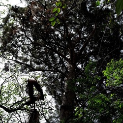 ORTO BOTANICO. Fotografie di Giulio Azzarello &copy;2024.