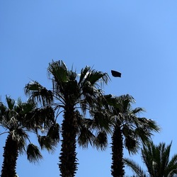 SAN VITO LO CAPO. Fotografie di Giulio Azzarello &copy;2023.