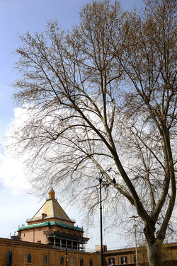 VILLA BONANNO a Palermo. Fotografie di Giulio Azzarello &copy;2016.