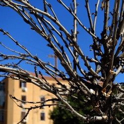 Arabo Normanno. Fotografie di Giulio Azzarello ©2024. Arabo Normanno. Fotografie di Giulio Azzarello ©2024.