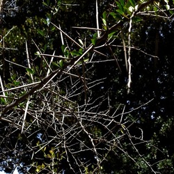 ORTO BOTANICO. Fotografie di Giulio Azzarello &copy;2024.