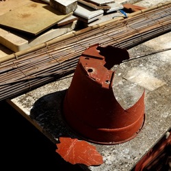 GIARDINO SICILIANO. Fotografie di Giulio Azzarello ©2022. GIARDINO SICILIANO. Fotografie di Giulio Azzarello ©2022.