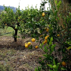 CAMMINANDO. Fotografie di Giulio Azzarello &copy;2024.