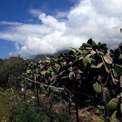 TERRASINI. Fotografie di Giulio Azzarello &copy;2022.