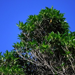 CAMPEGGIO fotografie di Giulio Azzarello ©2019. CAMPEGGIO fotografie di Giulio Azzarello ©2019.