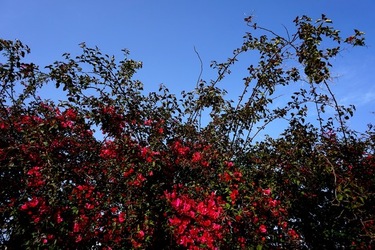 MONDELLO. Fotografie di Giulio Azzarello &copy;2023.