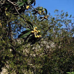 Arabo Normanno. Fotografie di Giulio Azzarello ©2024. Arabo Normanno. Fotografie di Giulio Azzarello ©2024.