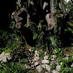 GIARDINO. Fotografie di Giulio Azzarello ©2022.