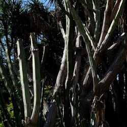 GIARDINO. Fotografie di Giulio Azzarello ©2022.