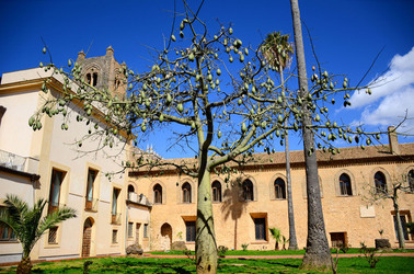 MACCHIA MEDITERRANEA in Sicilia. Fotografie di Giulio Azzarello &copy;2106.
