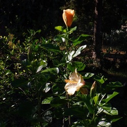 AUTUNNO fotografie di Giulio Azzarello ©2021. AUTUNNO fotografie di Giulio Azzarello ©2021.