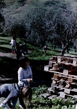 DIGITALIZZAZIONI fotografie di Giulio Azzarello &copy;2020.