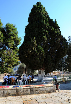 LA CITTA SANTA DI GERUSALEMME fotografie di Giulio Azzarello ©2104. LA CITTA SANTA DI GERUSALEMME fotografie di Giulio Azzarello ©2104.