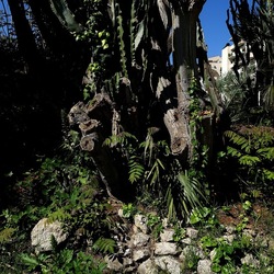 GIARDINO. Fotografie di Giulio Azzarello ©2022.