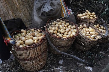 IL PRESEPE VIVENTE DI CUSTONACI in Sicilia. Fotografie di Giulio Azzarello ©2014. IL PRESEPE VIVENTE DI CUSTONACI in Sicilia. Fotografie di Giulio Azzarello ©2014.