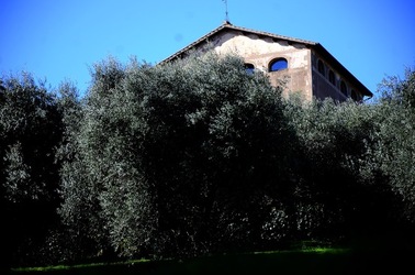 PARCO ARCHEOLOGICO DEL PALATINO Roma. Fotografie di Giulio Azzarello ©2020.