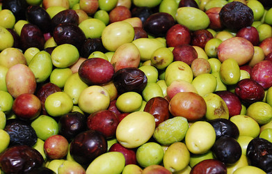 TIPICO FRANTOIO fotografie di Giulio Azzarello ©2014. TIPICO FRANTOIO fotografie di Giulio Azzarello ©2014.