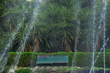 IL GIARDINO INGLESE di Palermo. Fotografie di Giulio Azzarello &copy;2014.