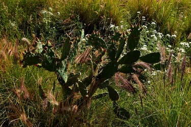 MONDELLO. Fotografie di Giulio Azzarello &copy;2023.