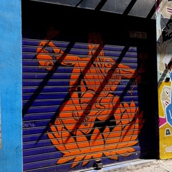 PALERMO. Fotografie di Giulio Azzarello &copy;2022.