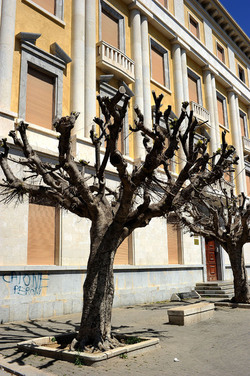 TRAPANI il centro storico il porto il mare la colombaia. Fotografie di Giulio Azzarello ©2014. TRAPANI il centro storico il porto il mare la colombaia. Fotografie di Giulio Azzarello ©2014.