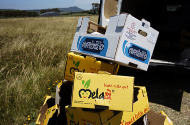 ARTE CONTEMPORANEA A PIRGI sito e riserva archeologica. Fotografie di Giulio Azzarello &copy;2014.