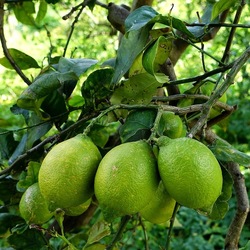 OSSERVAZIONI. Fotografie di Giulio Azzarello ©2022. OSSERVAZIONI. Fotografie di Giulio Azzarello ©2022.