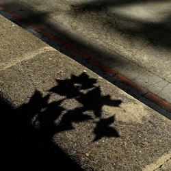 PALERMO. Fotografie di Giulio Azzarello &copy;2022.