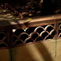 ORTO BOTANICO. Fotografie di Giulio Azzarello &copy;2024.