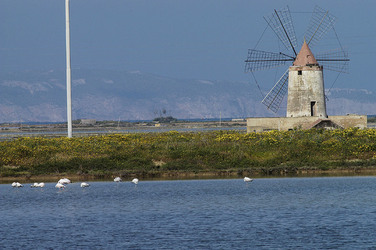 WWF Sicilia le Saline di Trapani. Fotografie di Giulio Azzarello &copy;2014.