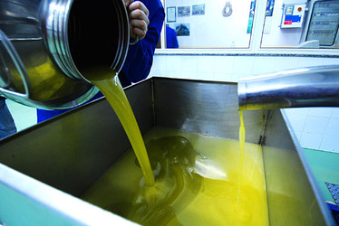 TIPICO FRANTOIO fotografie di Giulio Azzarello ©2014. TIPICO FRANTOIO fotografie di Giulio Azzarello ©2014.