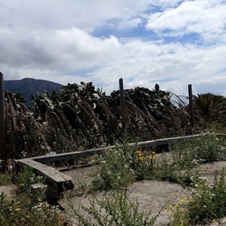 TERRASINI. Fotografie di Giulio Azzarello &copy;2022.