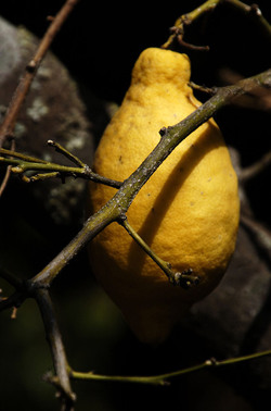 FOTOGRAFIE SPECIALI bianco e nero colore astratto concettuale grafico. Fotografie di Giulio Azzarello &copy;2014.