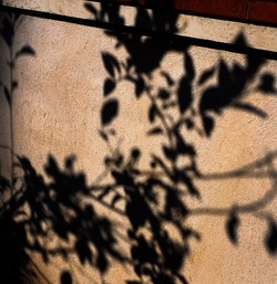 OMBRE di agosto. Fotografie di Giulio Azzarello &copy;2018.