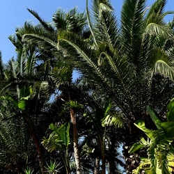 SELINUNTE. Fotografie di Giulio Azzarello ©2022. SELINUNTE. Fotografie di Giulio Azzarello ©2022.