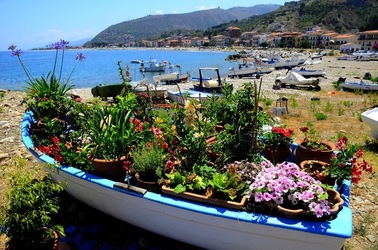 BARCHE da PESCA fotografie di Giulio Azzarello © 2019. BARCHE da PESCA fotografie di Giulio Azzarello © 2019.