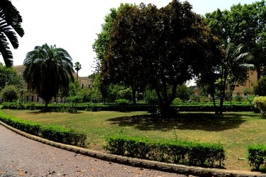 GIARDINO ARABO fotografie di Giulio Azzarello ©2021. GIARDINO ARABO fotografie di Giulio Azzarello ©2021.