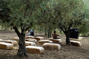 ULIVETO SICILIANO. Fotografie di Giulio Azzarello ©2022.