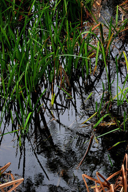 PAESAGGIO CATANESE panoramiche e particolari. Fotografie di Giulio Azzarello &copy;2014.