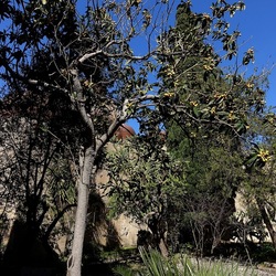 Arabo Normanno. Fotografie di Giulio Azzarello ©2024. Arabo Normanno. Fotografie di Giulio Azzarello ©2024.