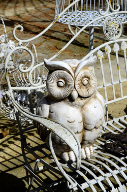 ORTO BOTANICO di Palermo in inverno. Fotografie di Giulio Azzarello &copy;2016.