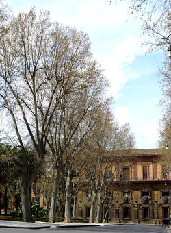 VILLA BONANNO a Palermo. Fotografie di Giulio Azzarello &copy;2016.