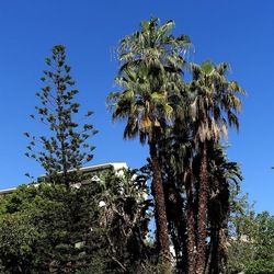 GIARDINO. Fotografie di Giulio Azzarello ©2022.