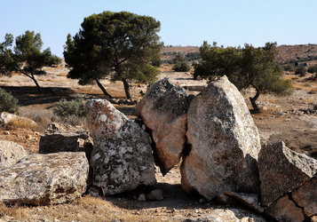PALESTINA i territori palestinesi panoramiche e particolari. Foto di Giulio Azzarello ©2014. PALESTINA i territori palestinesi panoramiche e particolari. Foto di Giulio Azzarello ©2014.